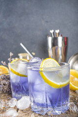 Lavender alcoholic cocktail