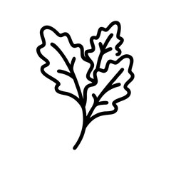 Arugula