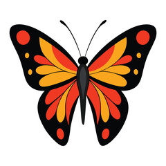 realistic butterfly with vivid orange and black on white background.