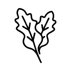 Arugula