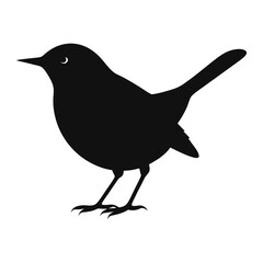 wren bird silhouette vector illustration.