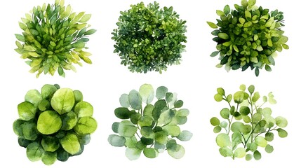 Watercolor Paintings Show Different Styles of Green Bush Illustrations