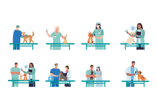 Colorful Veterinary Pet Dental Illustration Design Set