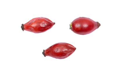 Rose hip isolated on a white background with full depth of field. Top view
