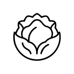 Cabbage 