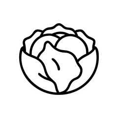 Cabbage 