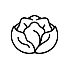 Cabbage 