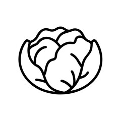 Cabbage 
