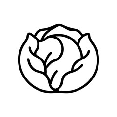 Cabbage 