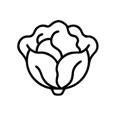 Cabbage 