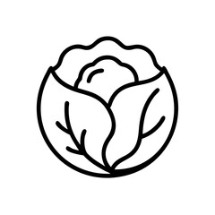 Cabbage 