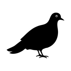 pigeon silhouette isolated on white vector illustration of a pigeon  silhouette vector logo design 