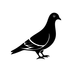 vector illustration of a pigeon  silhouette vector logo design 