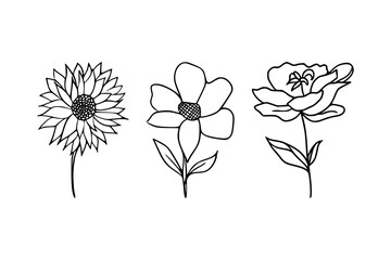 Minimalist Wildflower Sketch, Minimalist Wildflower Line Art Floral Vector Illustration, Hand-Drawn Floral Line Art Vector Design