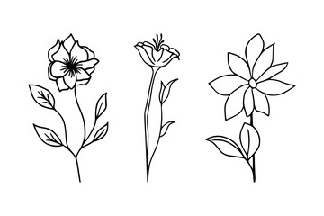 Vintage Botanical Wildflower Drawing in Fine Line Style, Minimalist Wildflower Sketch, Hand-Drawn Floral Outline, Delicate Floral and Wildflower Outline in Fine Line Art