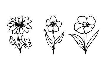 Set of Hand-Drawn Wildflower Floral Line Art Vector Design, Wildflower Floral Vector Illustration, Black and White Wildflower