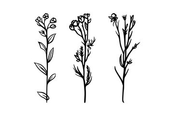 Elegant Wildflower Line Art Floral Vector Illustration, Fine Line Floral Wildflower Vector for Elegant Designs