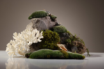 Contemporary still life with dried hydrangea, dried eryngium flowers and brown corkscrew on a dark background Northern natural composition with lichen, moss, branches, dried flowers and driftwood. 