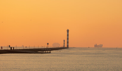 Fototapeta premium Giant cargo ship cruising out of the Europoort at sunset, seagulls flying, Rotterdam, Netherlands