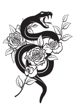 black snake with roses isolated on white background