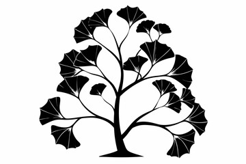 ginkgo biloba plant line art silhouette vector illustration