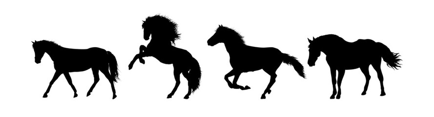 Set of horse silhouettes - vector illustration