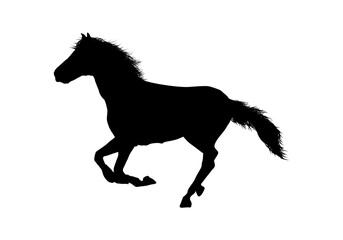 silhouette of a horse - vector illustration