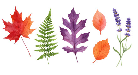 Naklejka premium Watercolor illustration of colorful autumn leaves and purple lavender flowers