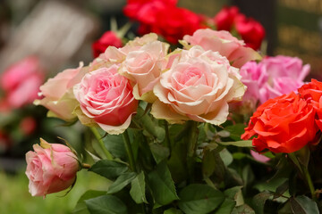 Beautiful bouquets of different colored red roses on the grave. Memorial flowers have been brought to the grave of a loved one.