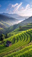 Gordijnen Lush Rice Terraces in Southeast Asia - A breathtaking view of terraced rice fields carved into rolling green hills. The landscape is illuminated by soft morning light © HappyFoxy
