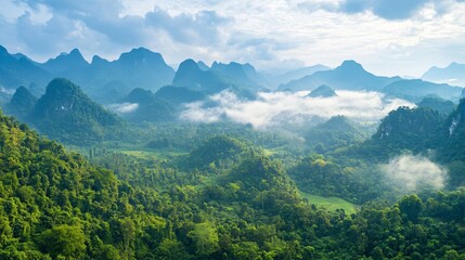 Fototapeta premium Lush Southeast Asian August Rainforest Wilderness Landscape