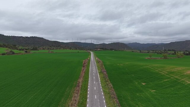 Metraje a&eacute;reo en 4K de un movimiento suave hacia adelante a lo largo de una carretera rural a trav&eacute;s de exuberantes campos verdes. La carretera recta conduce al horizonte, con colinas onduladas.