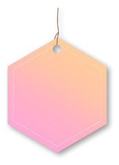pentagon hologram color blank label tag 
