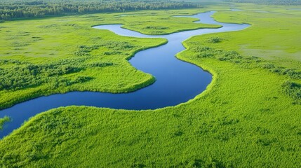 A vibrant, winding river flows through lush green vegetation, showcasing the beauty of nature in a serene landscape.