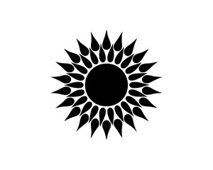 creative details Bright Sun Rays Icon vector illustration