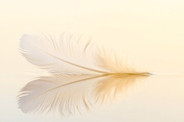 Single white feather is gently floating on still water, creating a perfect mirrored reflection, evoking themes of peace, tranquility, and lightness