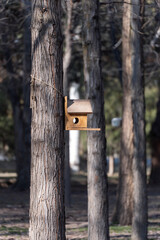A close-up of a wooden bird and squirrel feeder, which is tied to the trunk of a pine tree in the park and illuminated by sunlight, vertical photo.