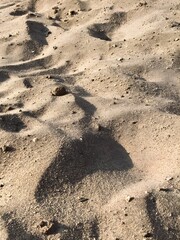 Closeup of sand on a sunny day 