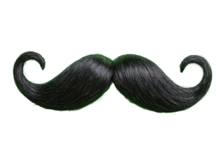 Isolated Black Mustache