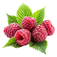 raspberries with leaves