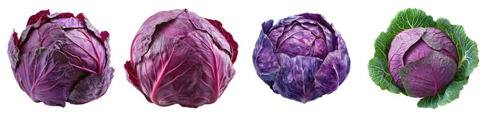 Obraz premium A collection of cabbages showcasing various shades of purple and green, highlighting their unique textures and shapes.