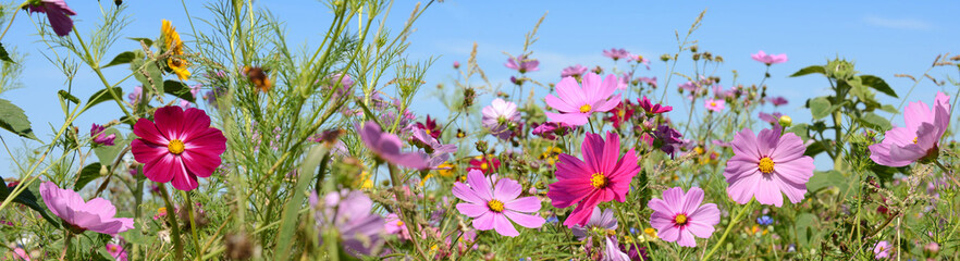 Garten 1465 © K.-U. Häßler