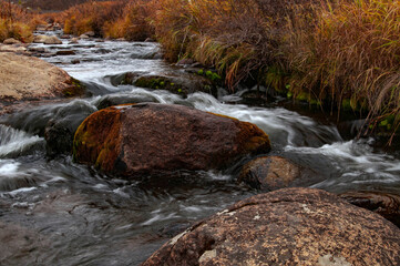 stream in the forest