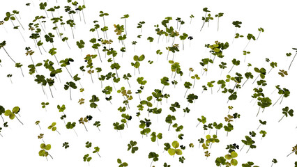 floral background with butterflies