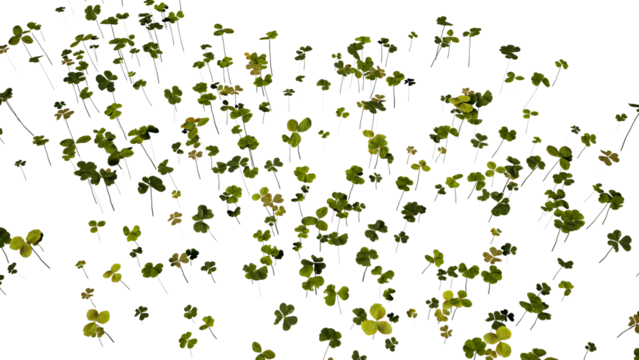 floral background with butterflies