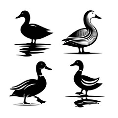 Elegant Duck Silhouette Set | Waterfowl Vector | Minimalist Wildlife Art