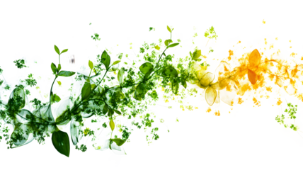 A green and yellow line of leaves with a white background. The leaves are in a spiral and are very close together