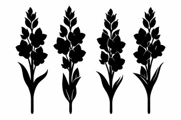 Obraz premium gladiolus flower icon set line art silhouette vector illustration
