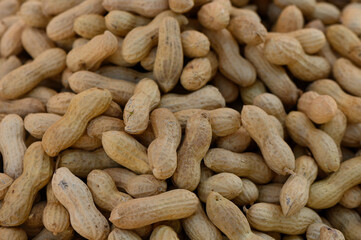 Pile of freshly harvested peanuts resting in the warm sunlight at a local farm in autumn