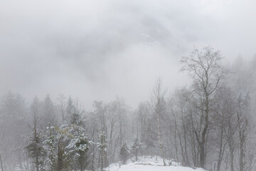 foggy mountain landscape at a spring day